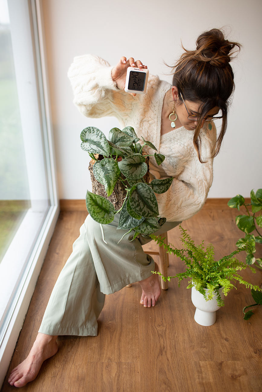 Asesoría para interiores