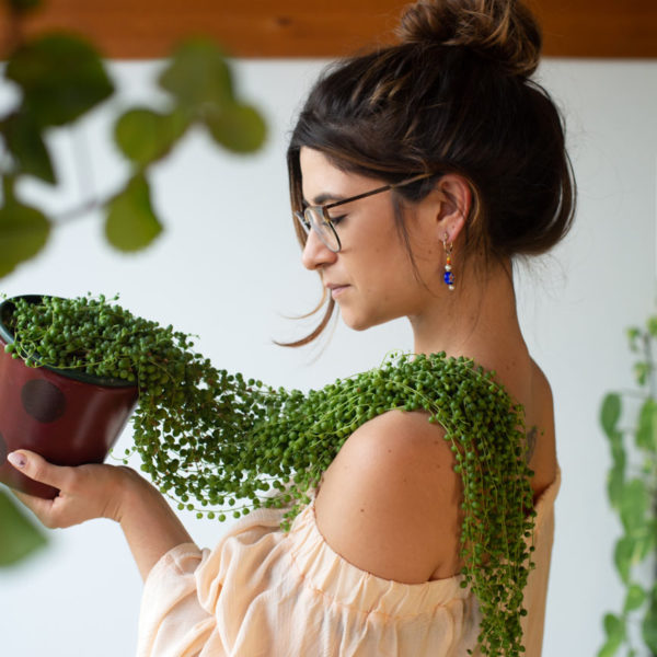 Servicio de Plant Shopper