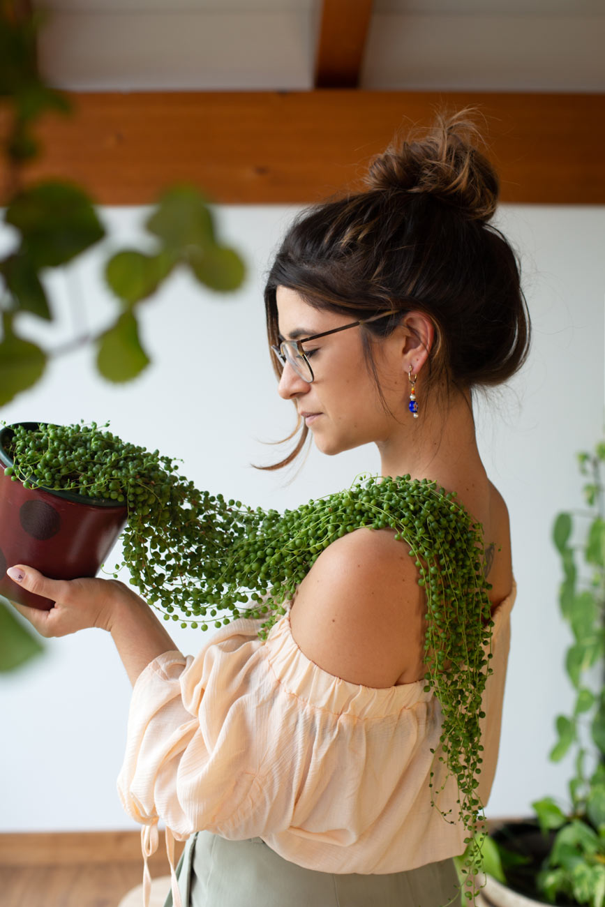 Servicio de Plant Shopper